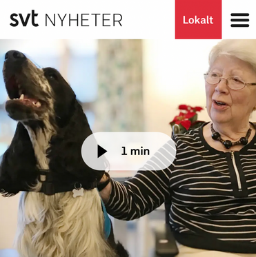 Besöks- och terapihunds verksamhet i Växjö, Tingsryd, Alvesta, Moheda, Lessebo, Vislanda, Ingelstad, Lammhult | lyckefriskvard.se